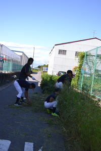 img_20170919-205307.jpg