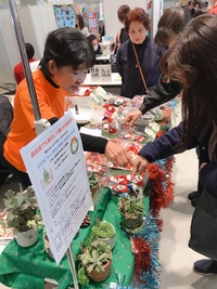 img_20191202-141018.jpg
