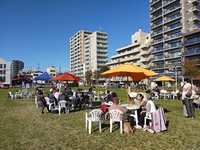 img_20201208-120308.jpg