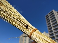 img_20201208-123550.jpg