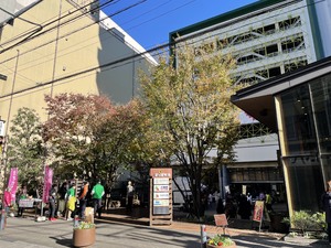 img_20211129-235639.jpg