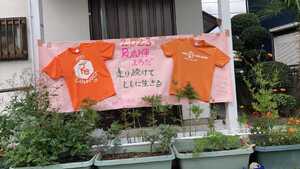 img_20230905-152426.jpg