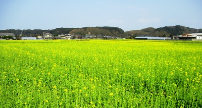 81 熊本 植木温泉 桐乃湯 古賀市のピアノ教室 My里ようこピアノルーム