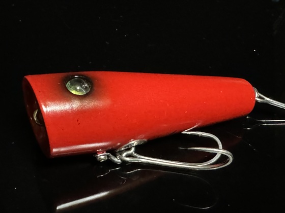 img_20240722-071109.jpg