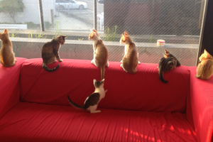 img_20140727-134625.png