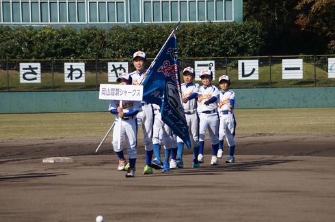 ohk杯