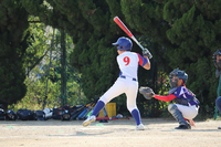 img_20201201-134735.jpg