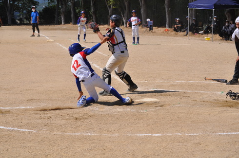 img_20220606-110531.jpg