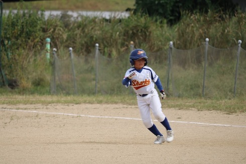 img_20241002-162404.jpg