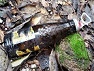 img_20191024-105229.jpg