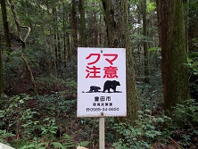img_20191024-105359.jpg