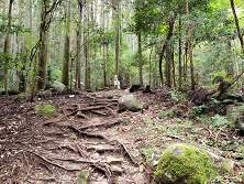 img_20191107-094547.jpg