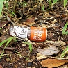 img_20210511-044452.jpg