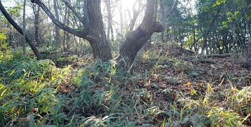 img_20230304-003046.jpg