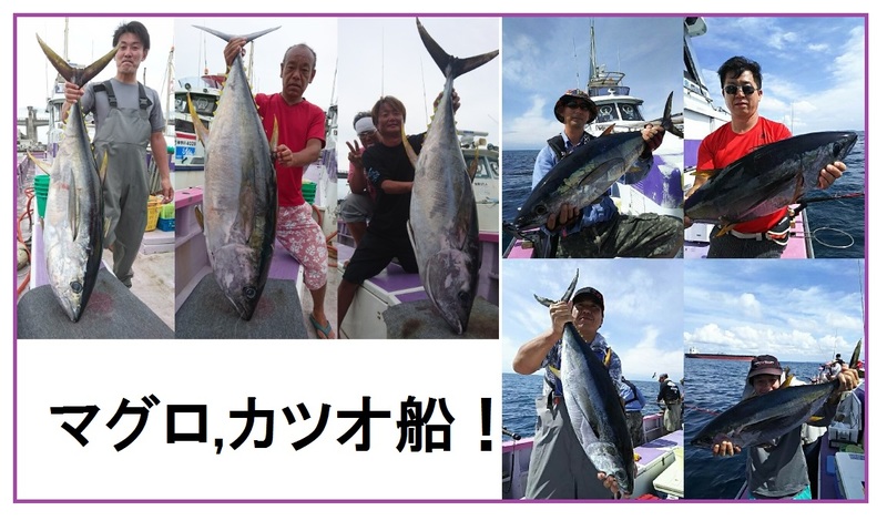 小田原港 釣り船 おおもり丸 本日の釣果