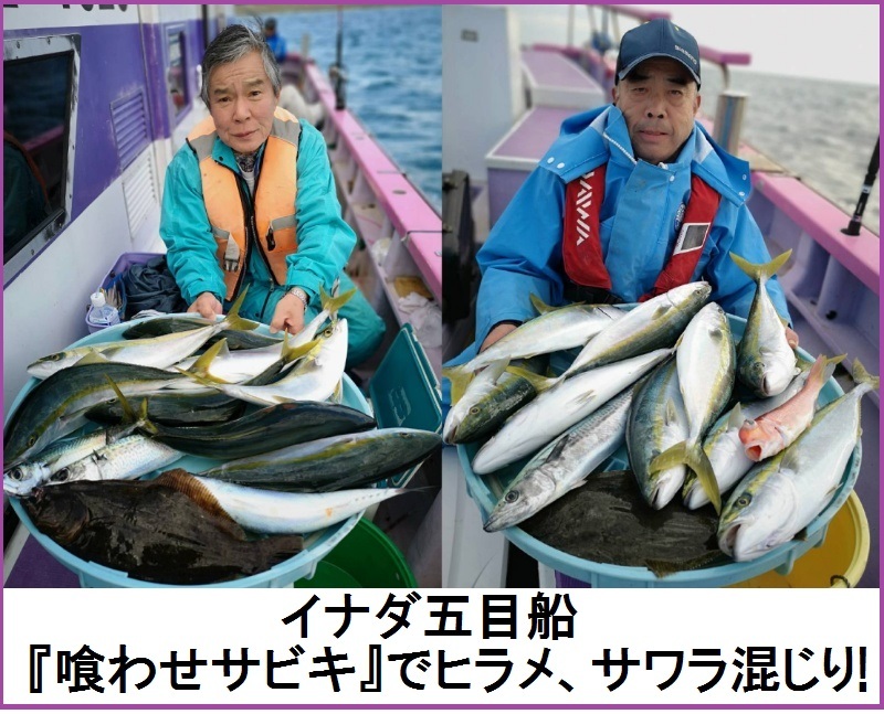 小田原港 釣り船 おおもり丸 本日の釣果