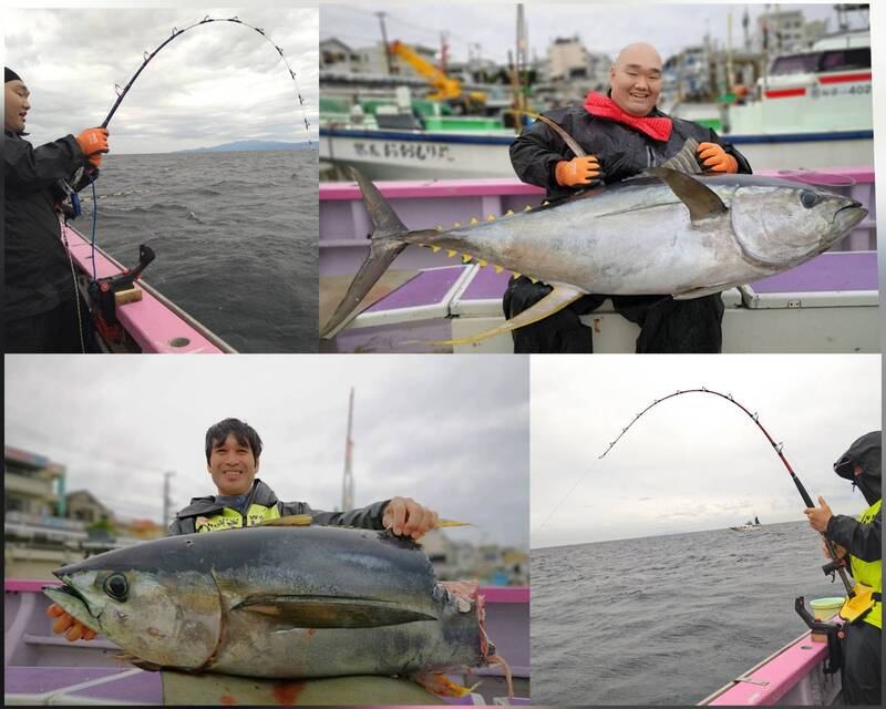 小田原港 釣り船 おおもり丸 釣果