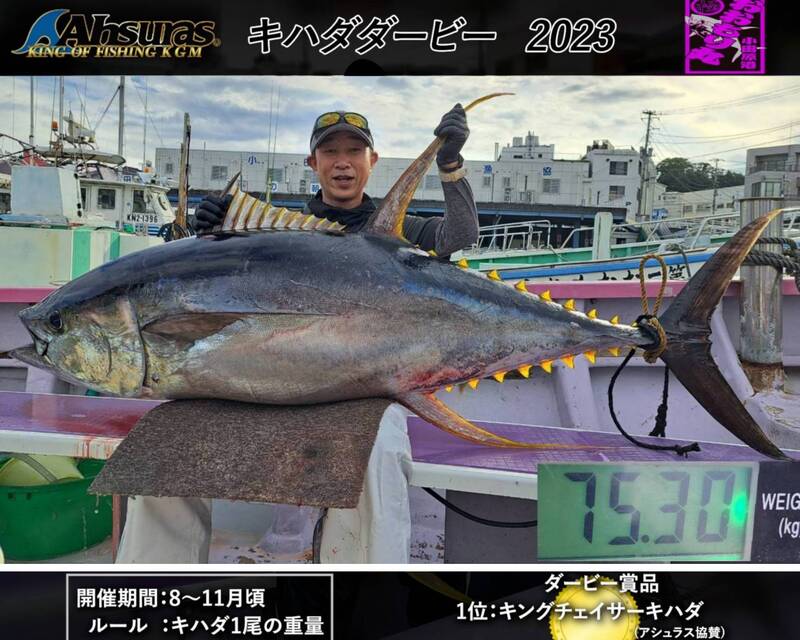 小田原港 釣り船 おおもり丸 🐟釣果🦑