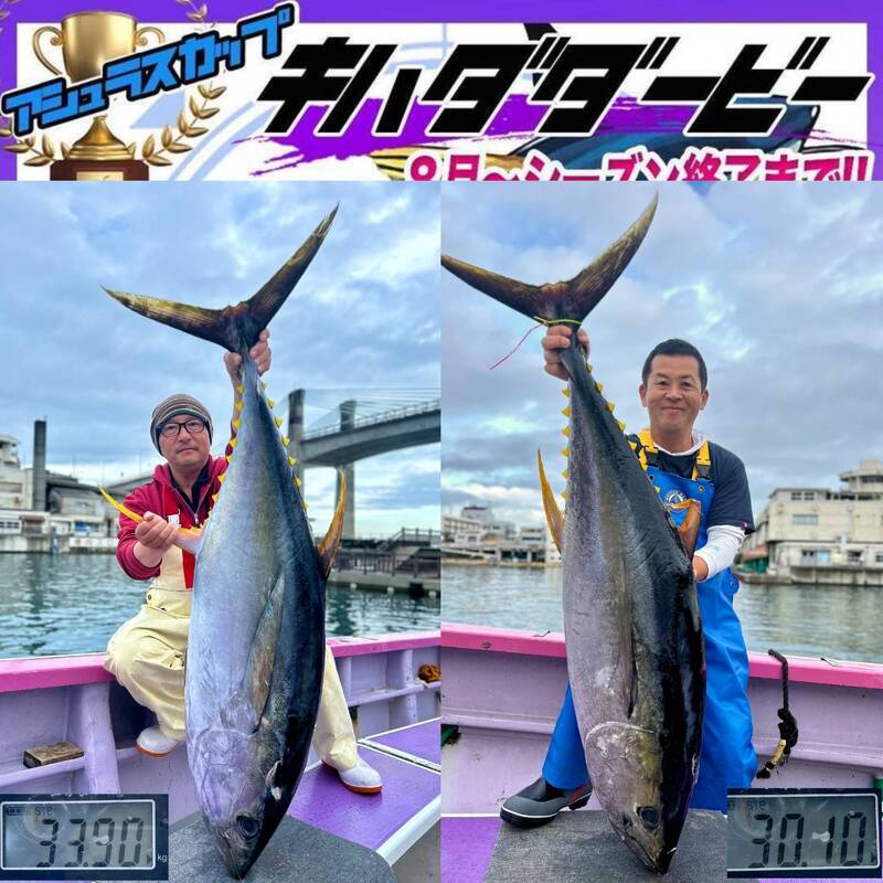 小田原港 釣り船 おおもり丸 🐟釣果🦑