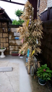 blog_20180707-1831231.jpg