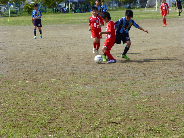 幸町fcスワローズ アルバム