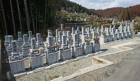 img_20170313-194255.jpg