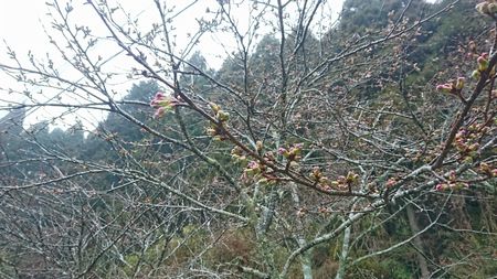 img_20170406-230648.jpg