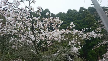 img_20170409-234640.jpg