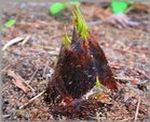img_20170411-001654.jpg