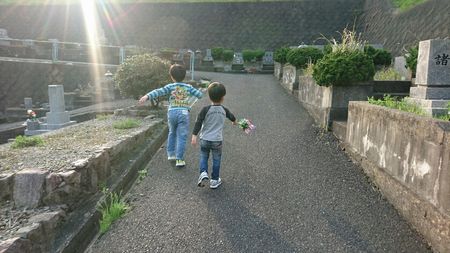 img_20170418-225258.jpg