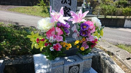 img_20170429-151505.jpg