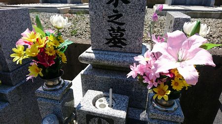 img_20170429-151646.jpg