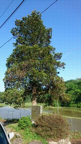 img_20170506-232534.jpg