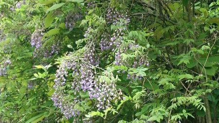 img_20170507-103040.jpg