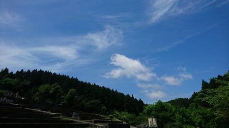 img_20170513-120744.jpg