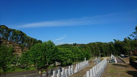 img_20170514-162546.jpg