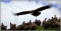 img_20170516-145423.jpg