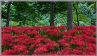 img_20170516-152412.jpg