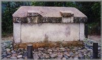 img_20170516-153413.jpg