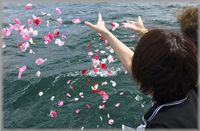 img_20170524-013357.jpg