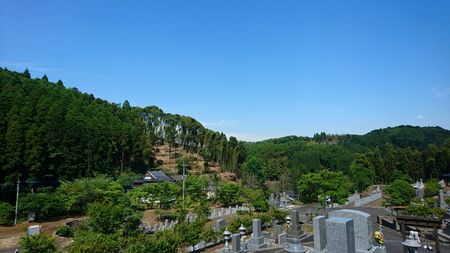 img_20170606-004046.jpg