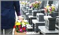 img_20170607-202413.jpg