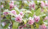 img_20170608-131705.jpg