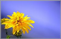 img_20170612-233448.jpg