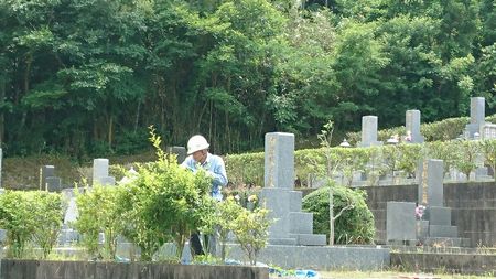 img_20170613-135206.jpg