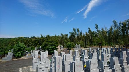 img_20170618-212509.jpg