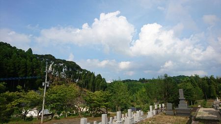 img_20170819-165231.jpg