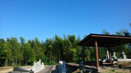 img_20170820-164222.jpg