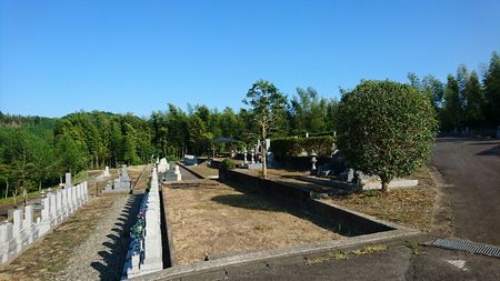 img_20170820-210510.jpg