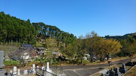 img_20171105-123636.jpg